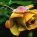 Profile Picture of Diego Sole (@Diego-Sole) on Facebook