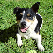 Profile Picture of Michelle Matthews (@michellematthews9825) on Youtube