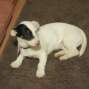 Profile Picture of Melissa Hahn (@melissahahn1777) on Youtube