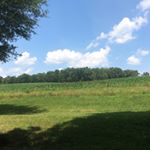 Profile Picture of Toby Cole (@toby__cole) on Instagram