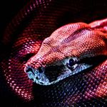 Profile Picture of Andrew Abrham Salas Briceño (@andrew_salasb) on Instagram