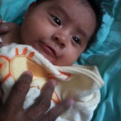 Profile Picture of Alexander Guadalupe (@alexand11155355) on Twitter