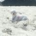 Profile Picture of Ginger Tinker (@ginger.tinker.5) on Facebook