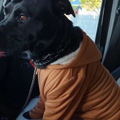 paulzalinsky - Tiktok Profile Picture of paulzalinsky (@paulzalinsky) on Tiktok