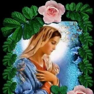 Profile Picture of Carman Elisa Romero (@9e36eb7b055b435) on Twitter