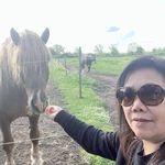Profile Picture of Lisa-Sarmiento (@analisastrobel) on Instagram