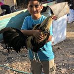 Profile Picture of Julio Aldaco (@julio.aldaco.180) on Instagram