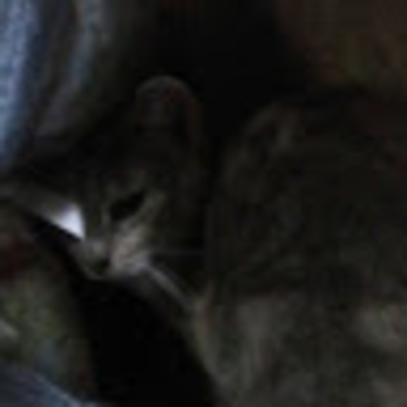 Profile Picture of Marissa Michael (@marissamarie329) on Poshmark