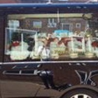 Profile Picture of Sean Nichols (@sean-nichols-15) on Quora