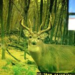 Profile Picture of Matthew Waters (@deerslayer_matt) on Instagram
