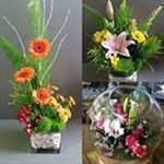 Profile Picture of Amal Sadek (@sadek5413) on Instagram