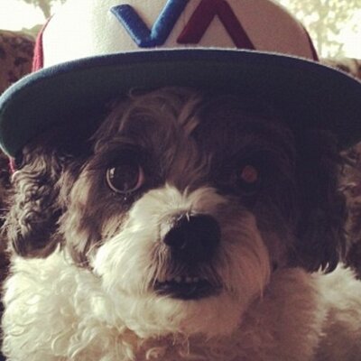 Profile Picture of KONOPA (@matthewkonopa) on Twitter