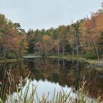 Profile Picture of Dawn Walter (@dawn.walter.144) on Facebook