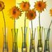 Profile Picture of Joann Bonacci (@jvbonacci) on Pinterest