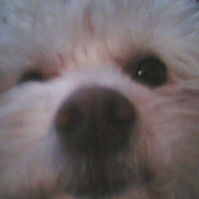 Profile Picture of Erica Dawson (@DawsonErica) on Twitter