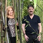 Profile Picture of Steven Eichberg (@steveneichberg) on Instagram