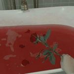 Profile Picture of Анастасия Черевкова (@cherevkova_nastasya) on Instagram