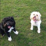 Profile Picture of Stephanie Chadwick (@the_storyofmariolola) on Instagram