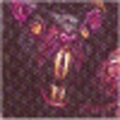 Profile Picture of Julian Bradshaw (@Julian5573jidag) on Twitter