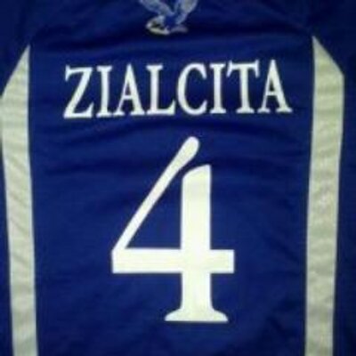 Profile Picture of Brian David Zialcita (@briandavidz) on Twitter