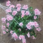 Profile Picture of Lyn Aslyn (@Lyn-Aslyn) on Facebook