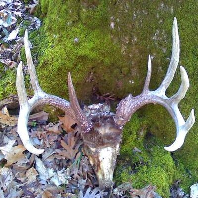 Profile Picture of Adam Logsdon (@logsdonadam524) on Twitter