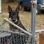 Profile Picture of daniel sanko (@djssanko) on Instagram