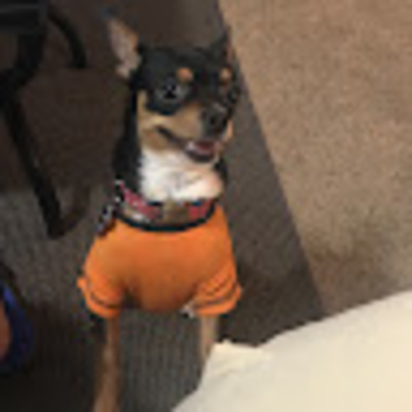 Profile Picture of Mark Antoinette (@markantoinette) on Poshmark