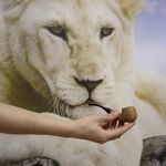 Profile Picture of Валентин Михайловский (@mikhailovskii704) on Instagram