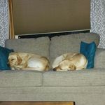 Profile Picture of Drew (@vince_downey) on Instagram