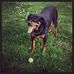 Profile Picture of Jonathan Hulley (@jonathan.hulley.9) on Facebook