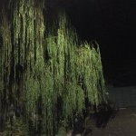 Profile Picture of Jason Agresti (@agrestii) on Instagram