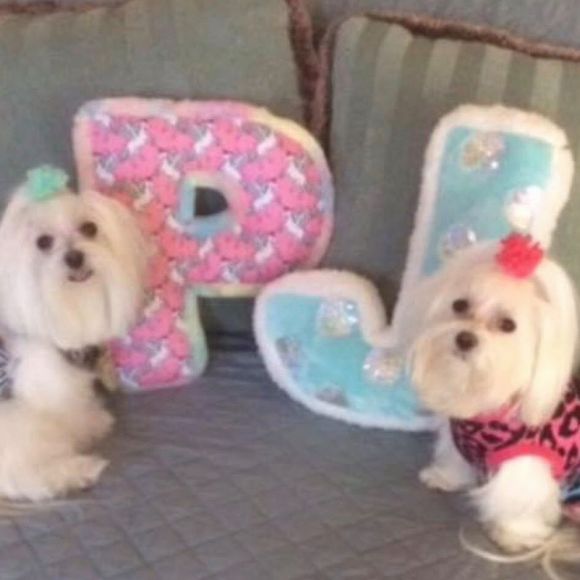 Profile Picture of Josephine a. Weiner (@phoebe1josie2) on Poshmark