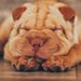 Profile Picture of EMILIO MACIAS (@emacias2388) on Pinterest