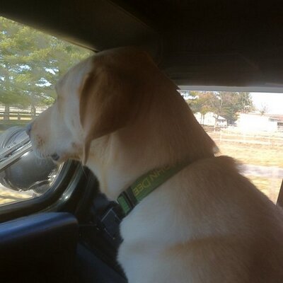 Profile Picture of Barry Pratt (@Barry1712) on Twitter