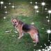 Profile Picture of Donna Jean Gray (Laffoon) (@donna.j.gray.92) on Facebook