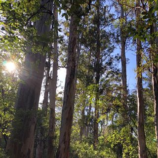 Profile Picture of Marguerite Richards (@marguerite.richards.98) on Facebook