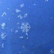 Profile Picture of Cindy Jankauski-Clemmens (@cindyj71) on Pinterest