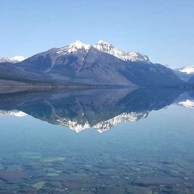 Profile Picture of Donna Moore (@DonnaMo18349753) on Twitter