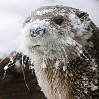 Profile Picture of William Floyd (@william-floyd-21) on Quora
