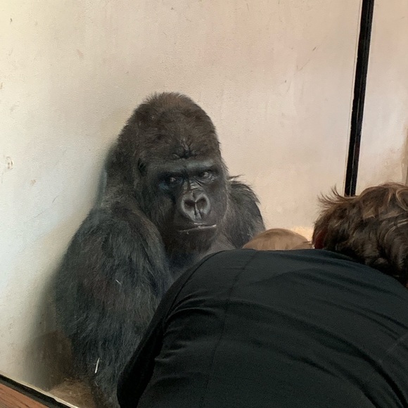 Profile Picture of Austin Barfield (@barfield862) on Poshmark