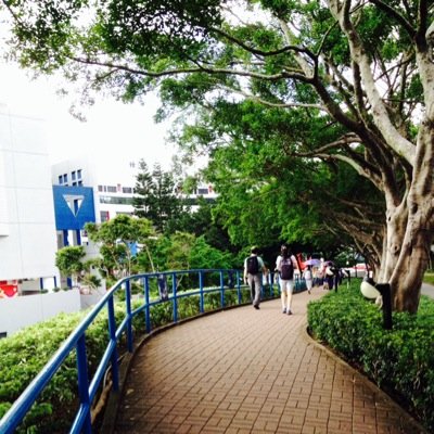 Profile Picture of Leo Lui (@0gelittleboy) on Twitter