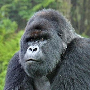 Profile Picture of Patrick Cofield (@patrickcofield9848) on Youtube