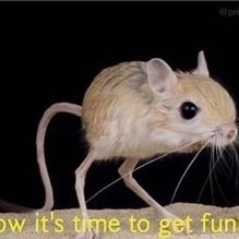 Profile Picture of Aaron Ching (@AaronChing12) on Twitter