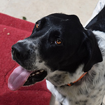 Profile Picture of William Asquith (@AsquithPhotography) on Flickr