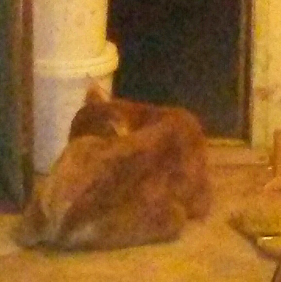 Profile Picture of Leocadio Reyes (@tankr666) on Poshmark