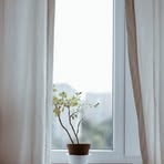 Profile Picture of Alma Miguel (@alma.miguel.446888) on Facebook