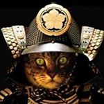 Profile Picture of Harry Schenker (@harryschenker) on Instagram