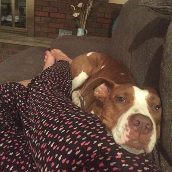 Profile Picture of Melanie Vander (@mwolf348) on Poshmark