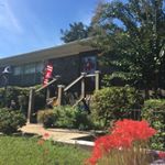 Profile Picture of Nancy C. Orange (@o_lord_i_praise_you) on Instagram